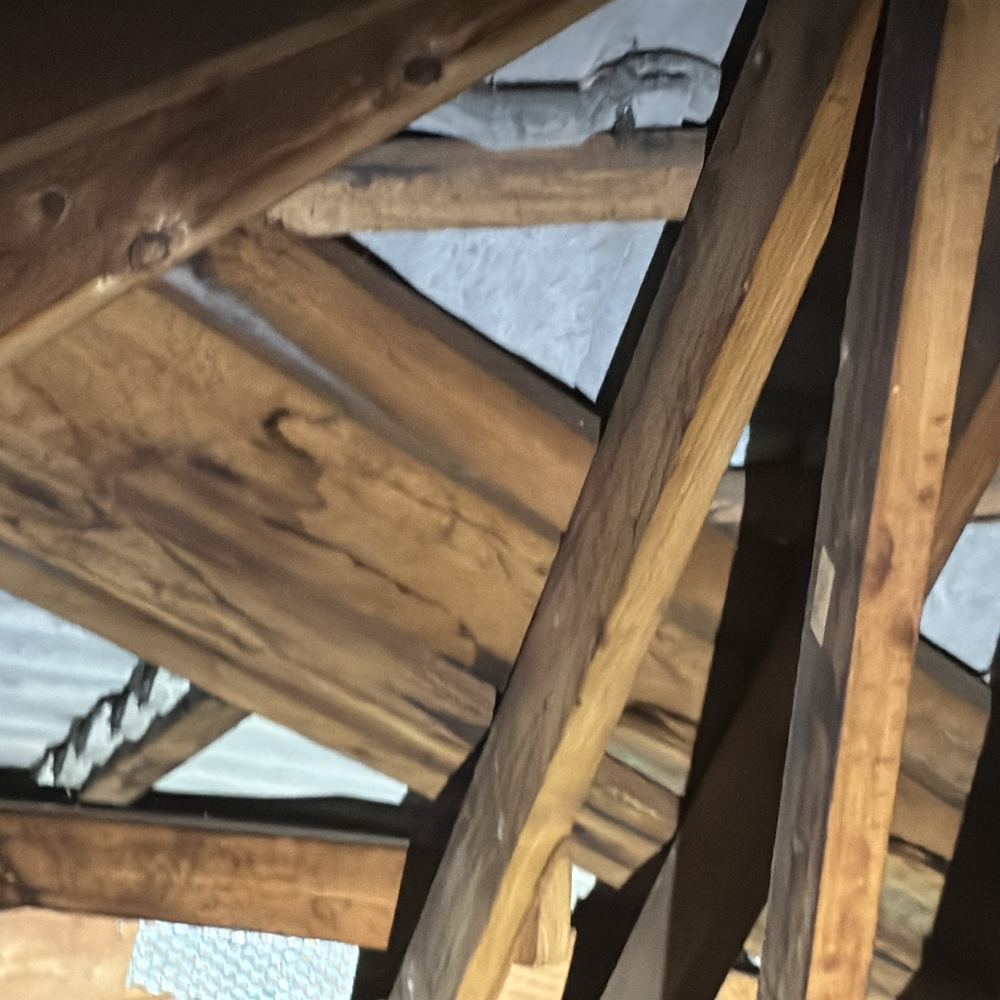 More water marking across the roof framing, found during a pre-purchase inspection in Braybrook