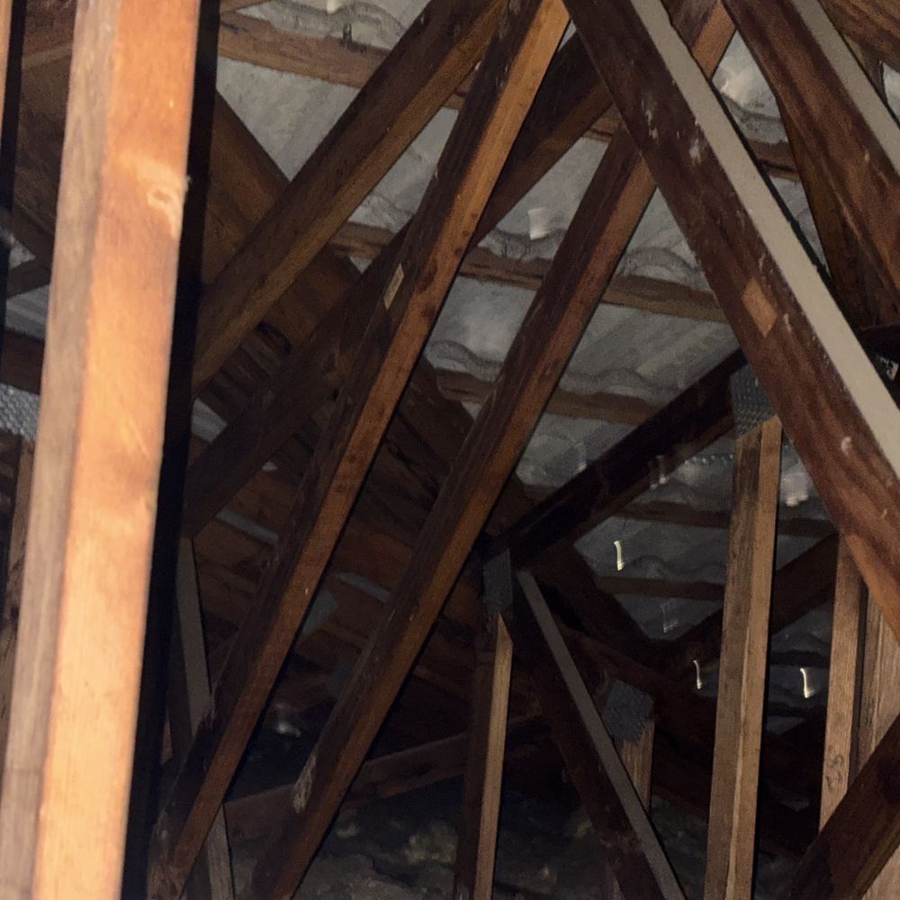 Water staining on ceiling timbers from a leak above, found during a pre-purchase inspection in Braybrook
