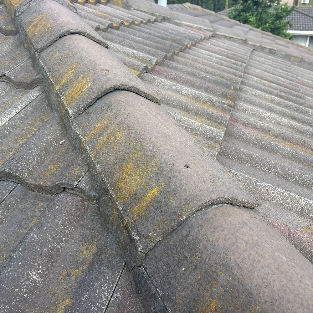 Ridge capping pointing loose on an older tiled roof, found during a pre-purchase inspection in Braybrook