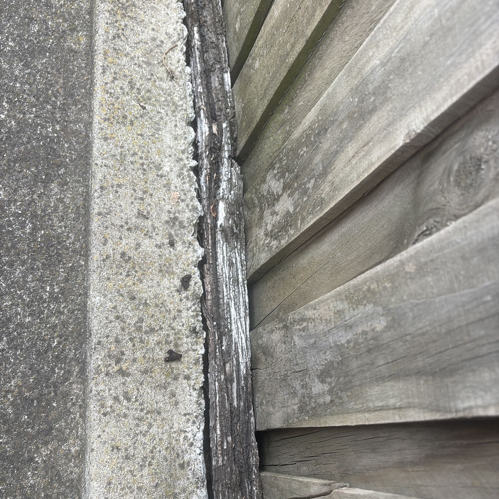 Fungal decay in timber fence posts at ground level, found during a building and pest inspection in Braybrook