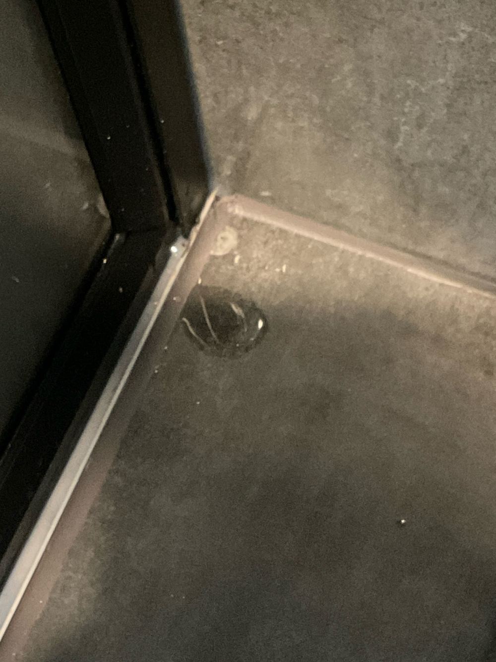 Shower water getting past the screen and onto the bathroom floor, found during a pre-handover (PCI) inspection in Manor Lakes