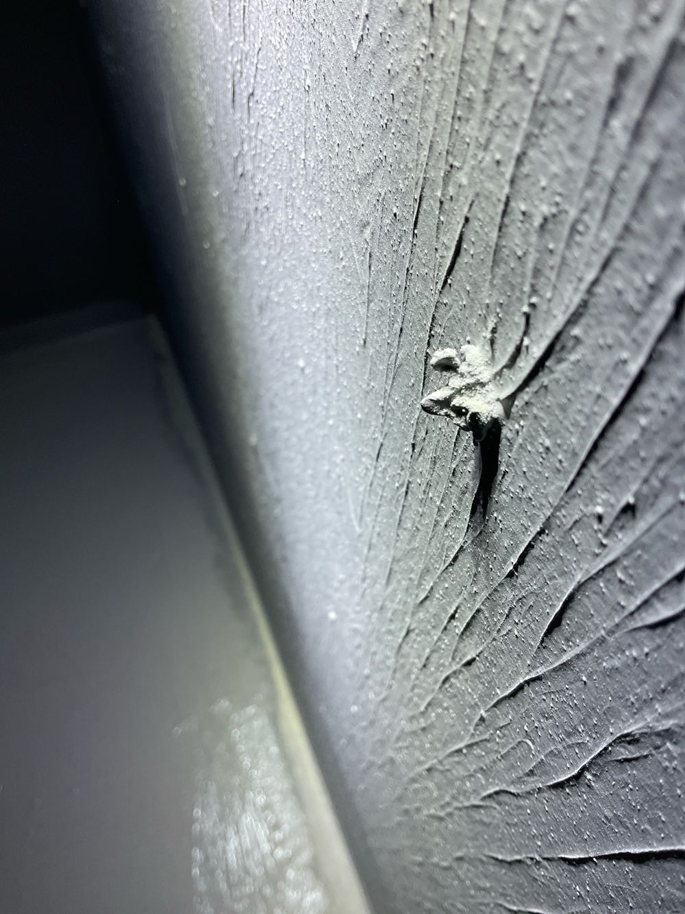 Waterproofing inspection in Manor Lakes